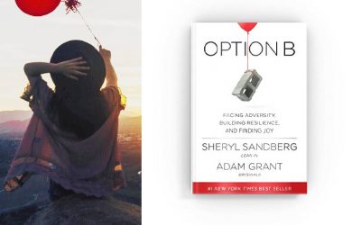 Book Notes: “Option B”